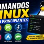 Comandos básicos de Linux